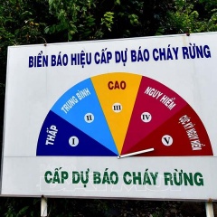 Trên 3.000ha rừng đang ở mức báo cháy cực kỳ nguy hiểm